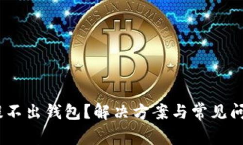 USDT提不出钱包？解决方案与常见问题解析