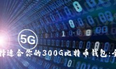 如何选择适合你的300G比特币钱包：全面指南