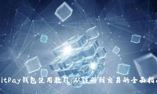 BitPay钱包使用教程：从注册到交易的全面指南