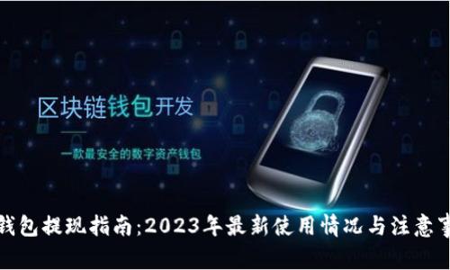 TP钱包提现指南：2023年最新使用情况与注意事项