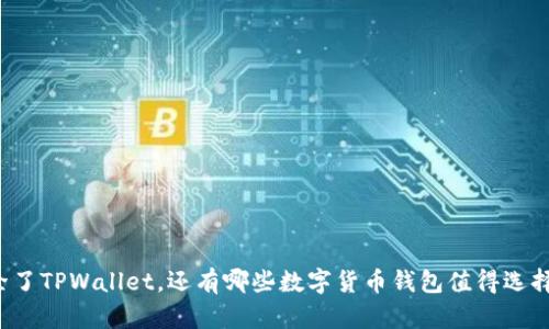 除了TPWallet，还有哪些数字货币钱包值得选择？