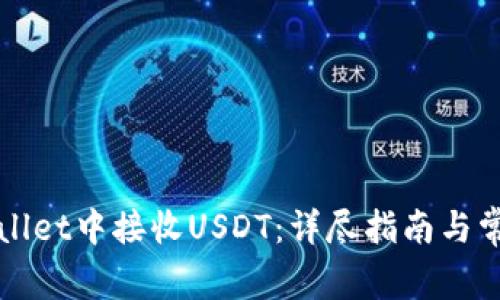 如何在TPWallet中接收USDT：详尽指南与常见问题解答