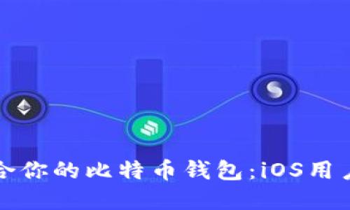 如何选择适合你的比特币钱包：iOS用户的终极指南