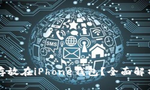 比特币能否存放在iPhone钱包？全面解析与实用指南