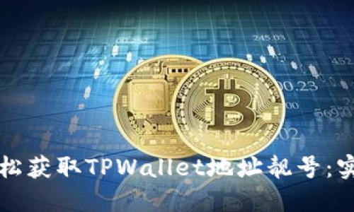 如何轻松获取TPWallet地址靓号：实用指南