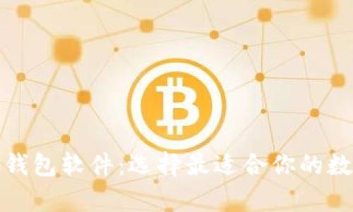 全面解析比特币钱包软件：选择最适合你的数字货币存储工具