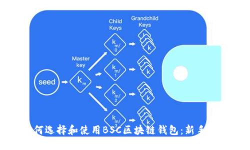 如何选择和使用BSC区块链钱包：新手指南