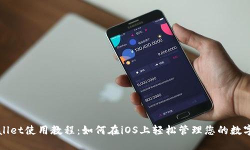 TPWallet使用教程：如何在iOS上轻松管理您的数字资产