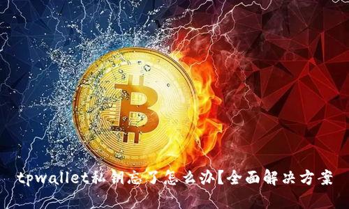 tpwallet私钥忘了怎么办？全面解决方案