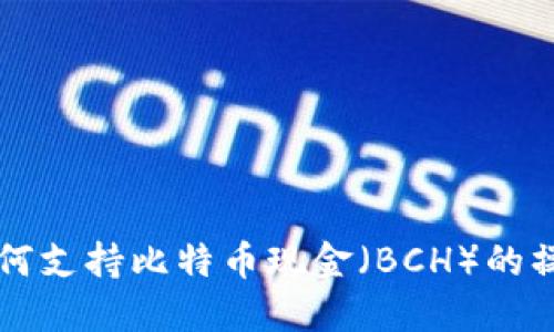 以太坊钱包如何支持比特币现金（BCH）的操作及使用指南