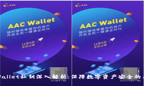 TPWallet私钥深入解析：保障数字资产安全的关键