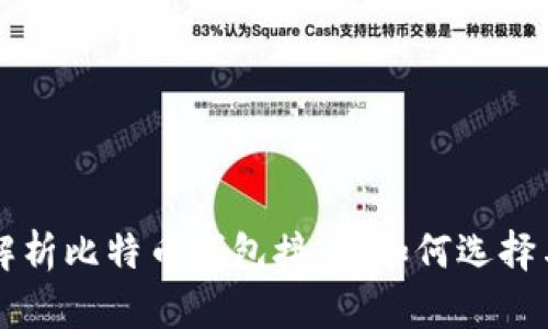 全面解析比特币钱包接口：如何选择与使用