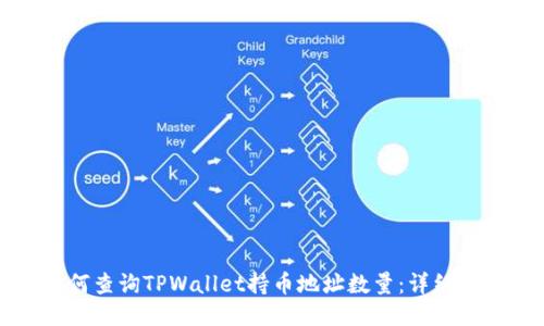 如何查询TPWallet持币地址数量：详细指南