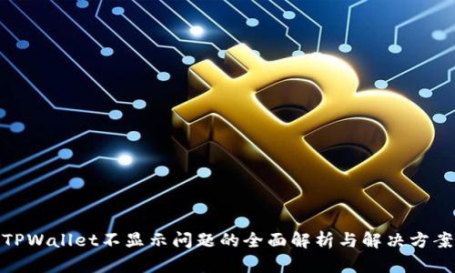 TPWallet不显示问题的全面解析与解决方案