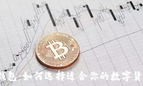 比特币钱包:如何选择适合你的数字货币钱包?