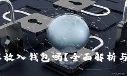 USDT可以放入钱包吗？全面解析与使用指南