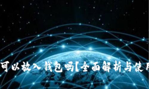 USDT可以放入钱包吗？全面解析与使用指南