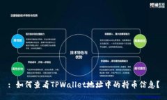 : 如何查看TPWallet地址中的持币信息？