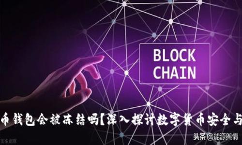 比特币钱包会被冻结吗？深入探讨数字货币安全与风险