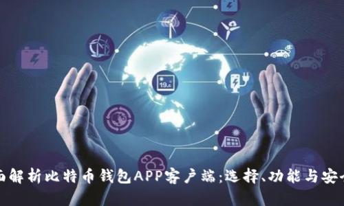 全面解析比特币钱包APP客户端：选择、功能与安全性