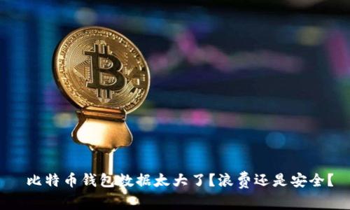  比特币钱包数据太大了？浪费还是安全？