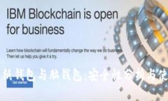 比特币纸钱包与脑钱包：安全性分析与使用指南