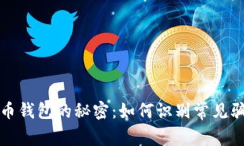 揭开比特币钱包的秘密：如何识别常见骗局与陷阱