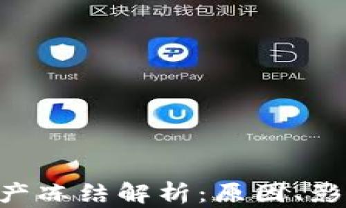 
TP Wallet资产冻结解析：原因、影响及解决方法