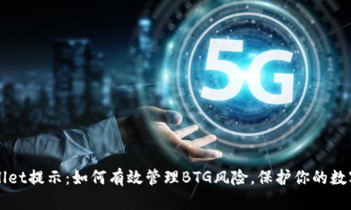 TPWallet提示：如何有效管理BTG风险，保护你的数字资产