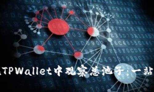 如何在TPWallet中观察总池子：一站式指南