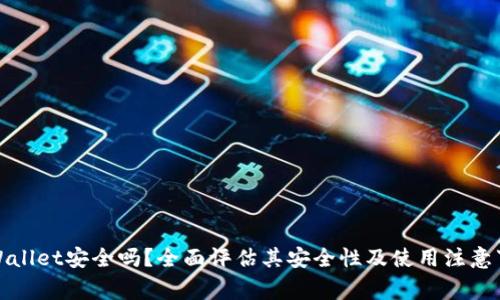 TPWallet安全吗？全面评估其安全性及使用注意事项