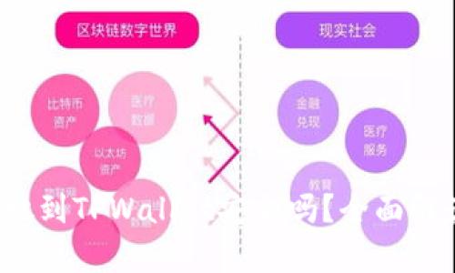 biaso比特币放到TPWallet安全吗？全面解读与风险分析