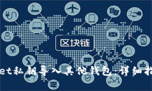 如何将TPWallet私钥导入其他钱包：详细指南与注意事项