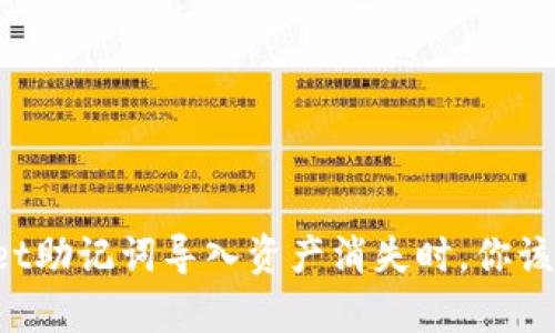 当tpwallet助记词导入资产消失时，你该如何应对？