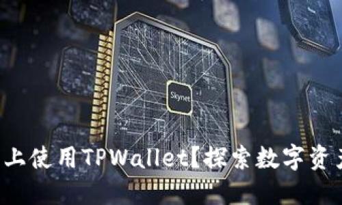 如何在苹果手机上使用TPWallet？探索数字资产的全新可能性！