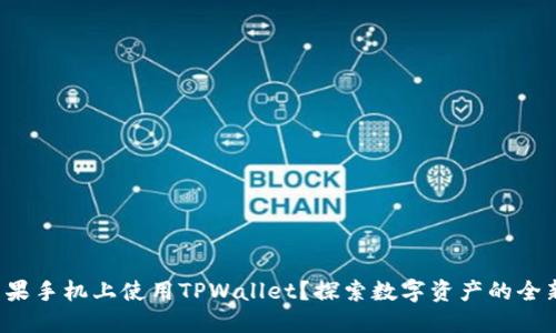 如何在苹果手机上使用TPWallet？探索数字资产的全新可能性！