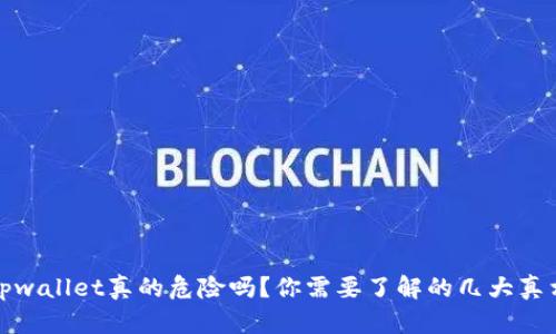 tpwallet真的危险吗?你需要了解的几大真相