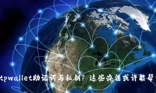 丢失tpwallet助记词与私钥? 这些办法或许能帮到你!