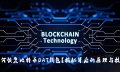 如何恢复比特币DAT钱包？揭秘背后的原理与技巧