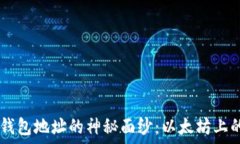   揭开USDT钱包地址的神秘面纱：以太坊上的安全