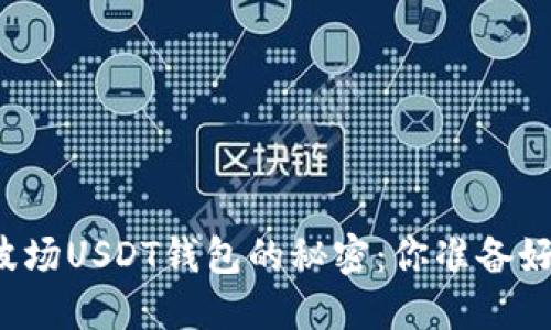 解锁波场USDT钱包的秘密:你准备好了吗?