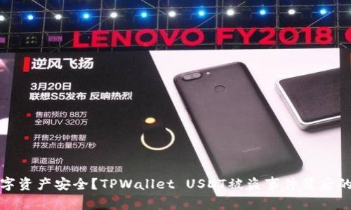 如何保护数字资产安全?TPWallet USDT被盗事件背后的教训与思考
