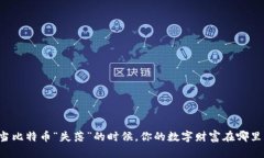 当比特币“失落”的时候，你的数字财富在哪里