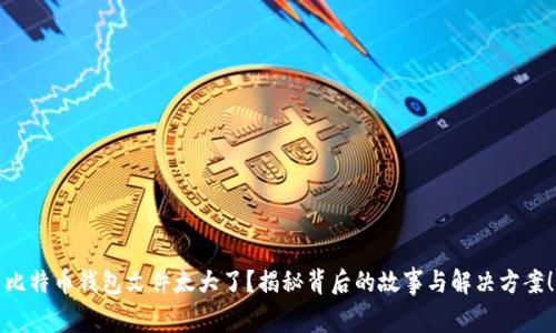 比特币钱包文件太大了？揭秘背后的故事与解决方案！