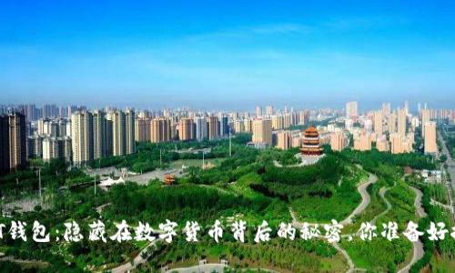 国际USDT钱包：隐藏在数字货币背后的秘密，你准备好探索了吗？