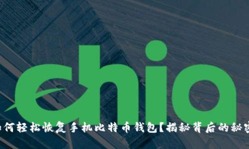 如何轻松恢复手机比特币钱包？揭秘背后的秘密！