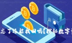 tpwallet助记词忘了还能找回吗？探秘数字资产安全