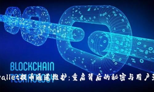 tpwallet提币通道维护:重启背后的秘密与用户影响