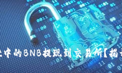 如何将TPWallet中的BNB提现到交易所?揭开这背后的秘密!