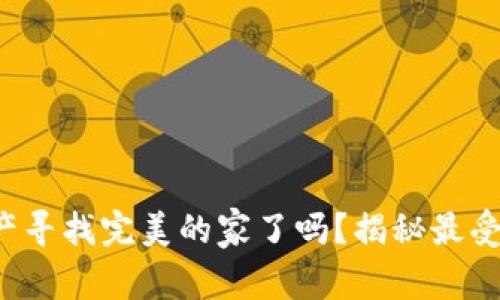你准备好为你的数字资产寻找完美的家了吗?揭秘最受好评的区块链钱包软件!